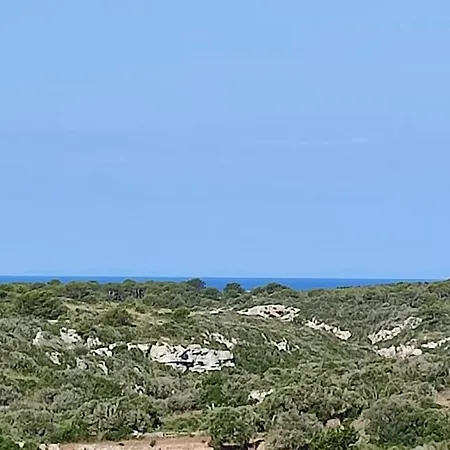 Redonda Villa Es Canutells